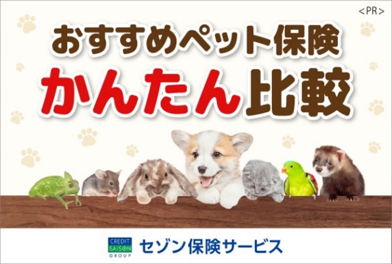 おすすめペット保険かんたん比較