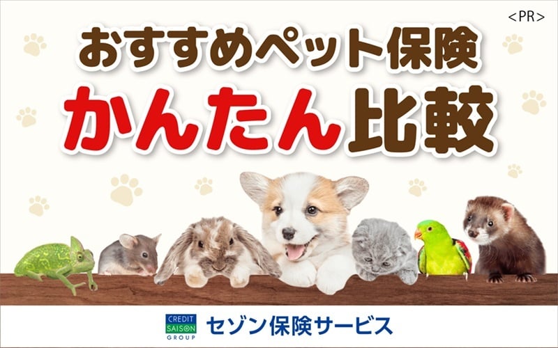 おすすめペット保険かんたん比較
