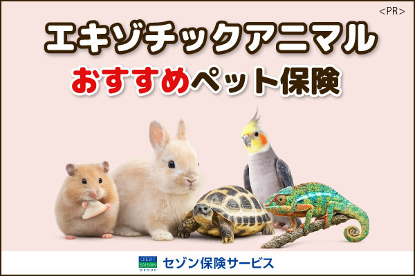 2026夏ペット保険キャンペーン（エキゾチックアニマル）