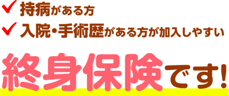 持病がある方 入院・手術歴がある方が加入しやすい 終身保険です! 持病がある方 入院・手術歴がある方が加入しやすい 終身保険です!