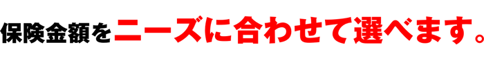 保険金額をニーズに合わせて選べます。