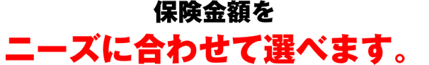 保険金額をニーズに合わせて選べます。