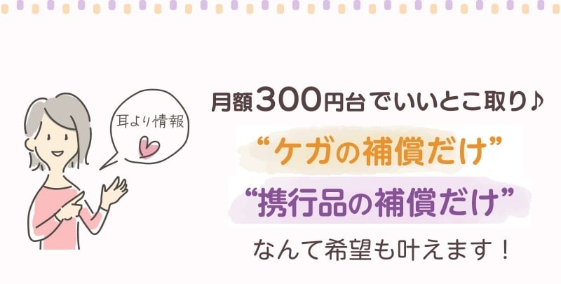 月額300円台でいいとこ取りしよう