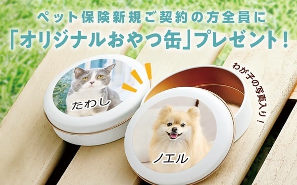 ペット保険新規ご契約の方にオリジナルおやつ缶プレゼント