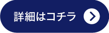 ポイント投資説明