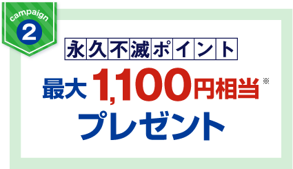 永久不滅ポイント最大1,100円相当プレゼント