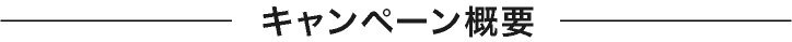 キャンペーン概要