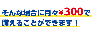 そんな場合に月々\300で備えることができます！