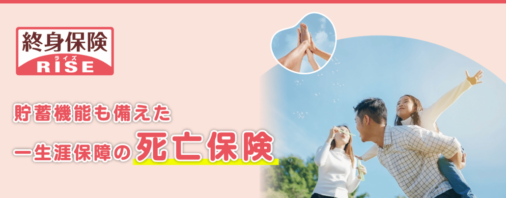 終身保険RISE 貯蓄機能も備えた一生涯保障の死亡保険 終身保険RISE 貯蓄機能も備えた一生涯保障の死亡保険
