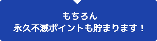 もちろん永久不滅ポイントも貯まります